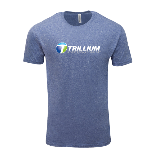 Threadfast Apparel Unisex Triblend Short Sleeve T-Shirt